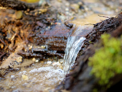 Berg Brauerei Fließendes Wasser in der Natur