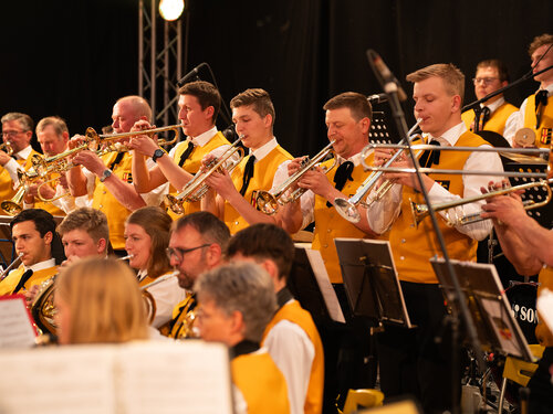 Berg Brauerei Musikverein