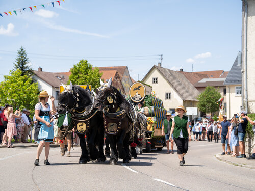 Berg Brauerei Kutsche auf dem Kreismusikfest in Westerheim 2023